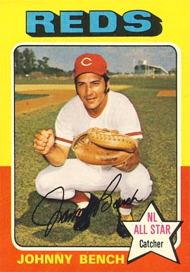 1975 Topps #260 Johnny Bench baseball card