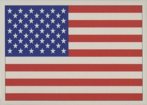 1991 Score #737 American Flag Baseball Card 1991 Score #737 American Flag Baseball Card